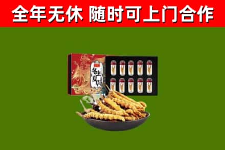 百色回收冬虫夏草价格