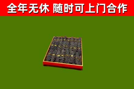 百色回收海参